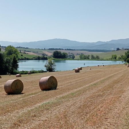 Il Marrondindo Bed & Breakfast Galliano Exteriér fotografie